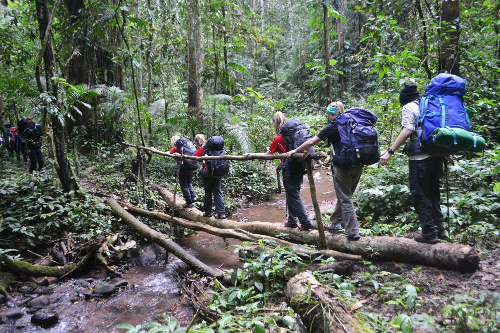 Ujung Kulon Tour