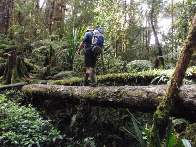 Ujung Kulon Tour